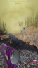 Clip 7